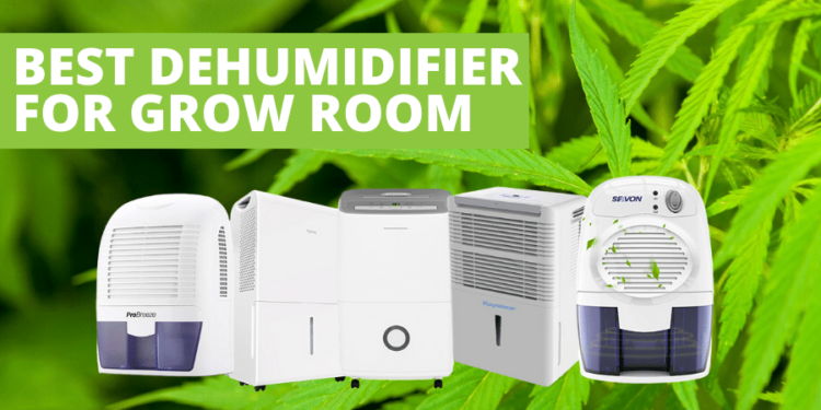 Where to place dehumidifier in grow tent?