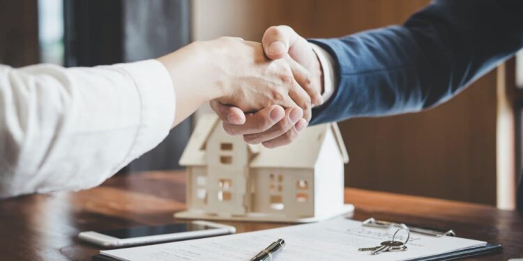 Professional Real Estate Agent