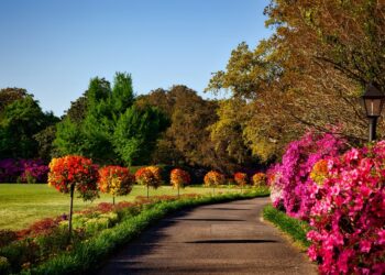 5 Great Landscaping Tips for Businesses
