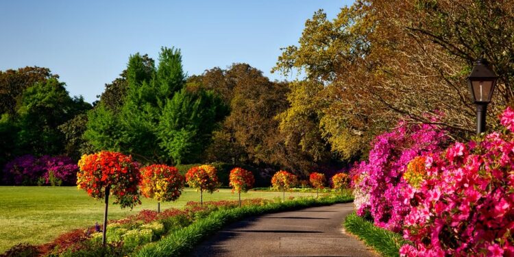 5 Great Landscaping Tips for Businesses