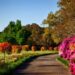 5 Great Landscaping Tips for Businesses