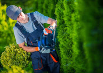 The Complete List of Landscaping Equipment You Need for a Business