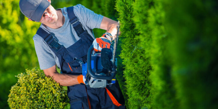 The Complete List of Landscaping Equipment You Need for a Business