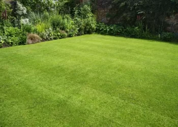 Lawn Company in Sarasota 