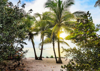 Retiring in the Sunshine State: Financial Considerations for Home Buyers